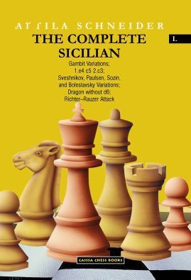 Sicilian Defense - Richter-Rauzer Systems in Chess